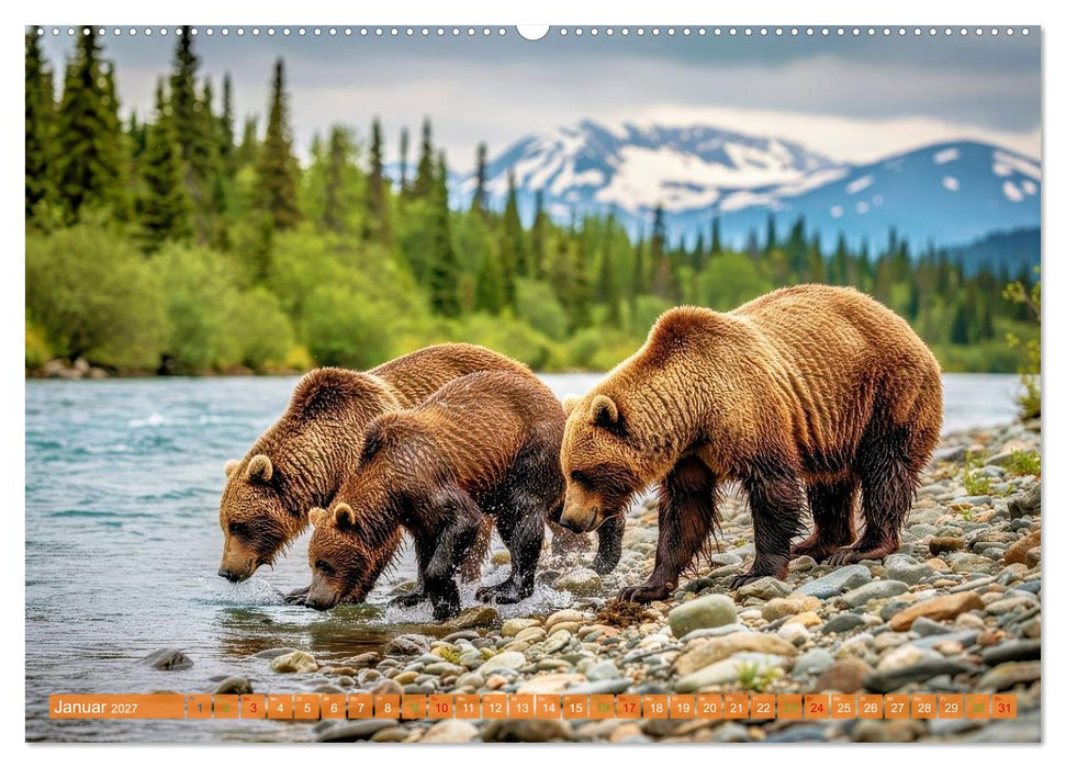 Elche und Bären in Alaska (CALVENDO Premium Wandkalender 2027)