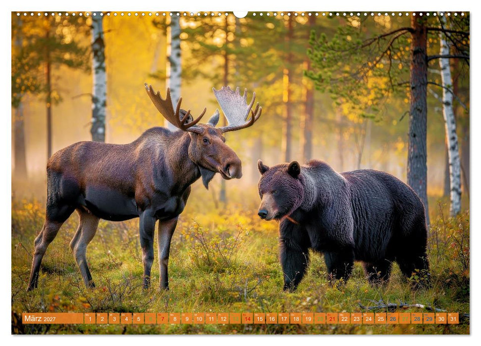 Elche und Bären in Alaska (CALVENDO Premium Wandkalender 2027)