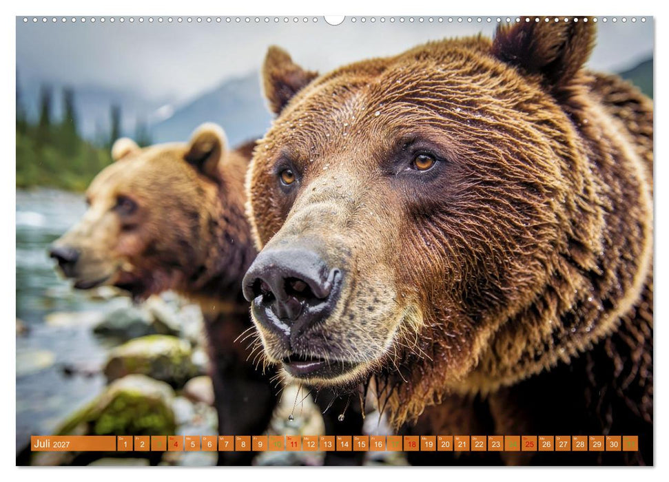 Elche und Bären in Alaska (CALVENDO Premium Wandkalender 2027)