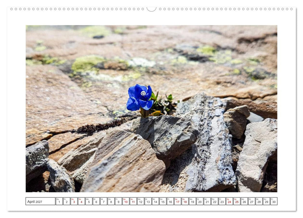 Schweizer Bergmomente (CALVENDO Wandkalender 2027)