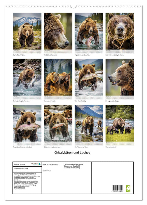 Grizzlybären und Lachse (CALVENDO Wandkalender 2027)