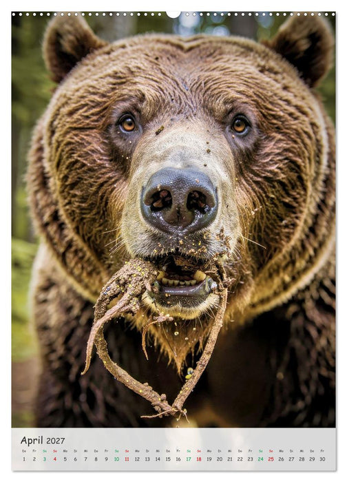 Grizzlybären und Lachse (CALVENDO Wandkalender 2027)