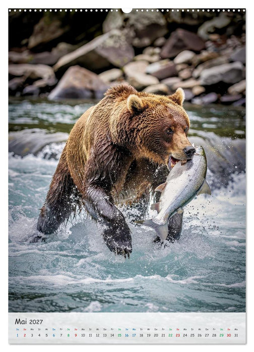 Grizzlybären und Lachse (CALVENDO Wandkalender 2027)