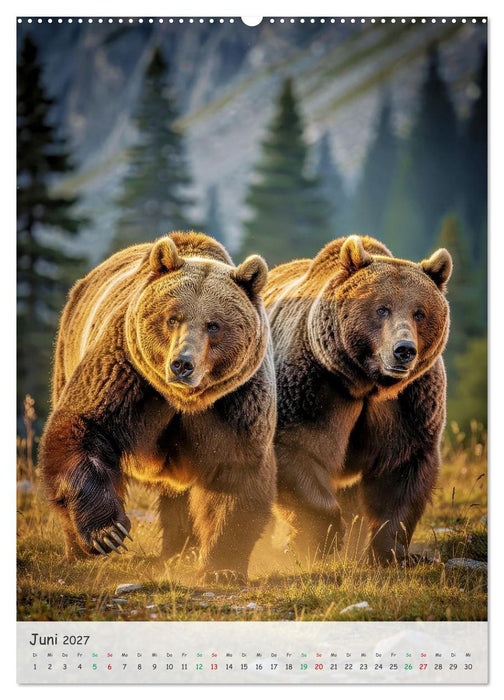 Grizzlybären und Lachse (CALVENDO Wandkalender 2027)