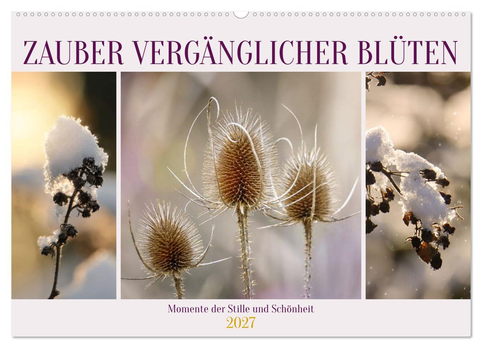 Zauber vergänglicher Blüten (CALVENDO Wandkalender 2027)