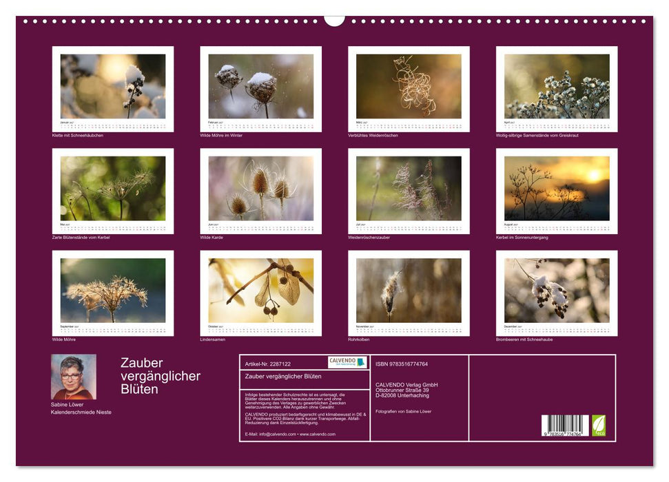 Zauber vergänglicher Blüten (CALVENDO Wandkalender 2027)