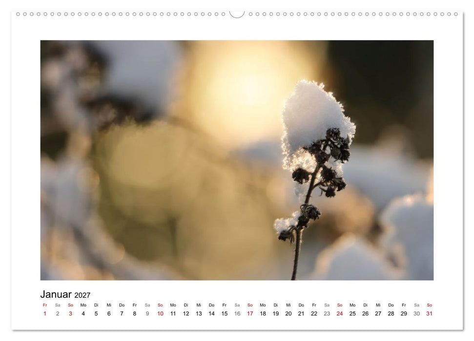 Zauber vergänglicher Blüten (CALVENDO Wandkalender 2027)