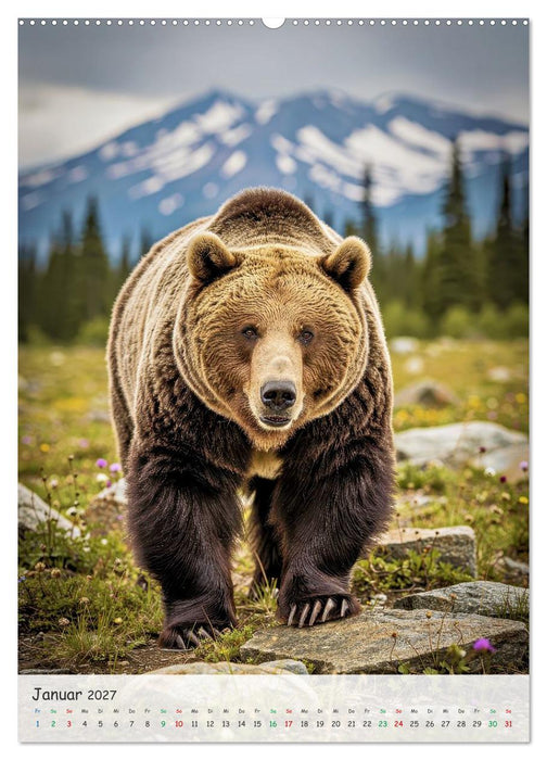 Grizzlybären und Lachse (CALVENDO Premium Wandkalender 2027)
