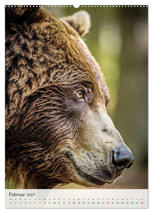 Grizzlybären und Lachse (CALVENDO Premium Wandkalender 2027)