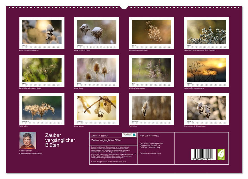 Zauber vergänglicher Blüten (CALVENDO Premium Wandkalender 2027)
