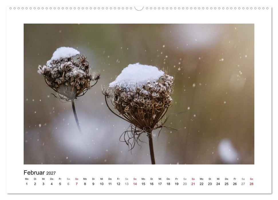 Zauber vergänglicher Blüten (CALVENDO Premium Wandkalender 2027)