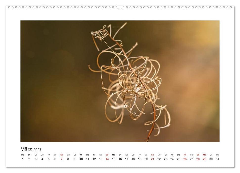 Zauber vergänglicher Blüten (CALVENDO Premium Wandkalender 2027)