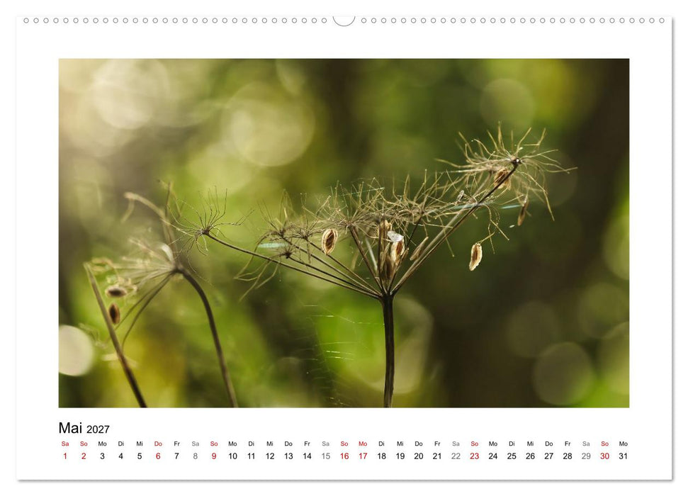 Zauber vergänglicher Blüten (CALVENDO Premium Wandkalender 2027)