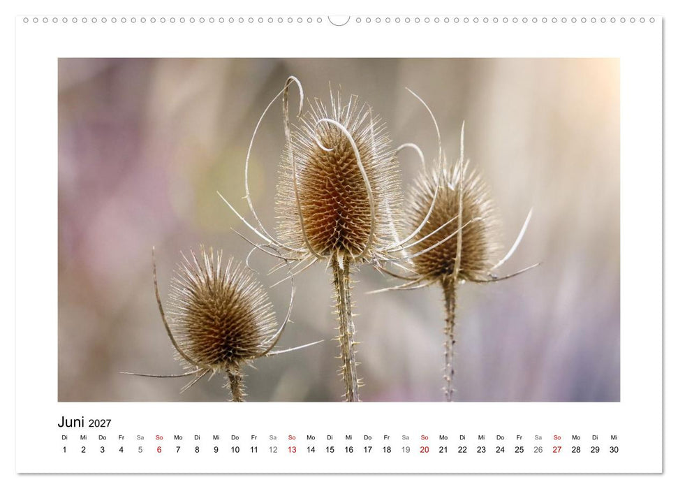 Zauber vergänglicher Blüten (CALVENDO Premium Wandkalender 2027)