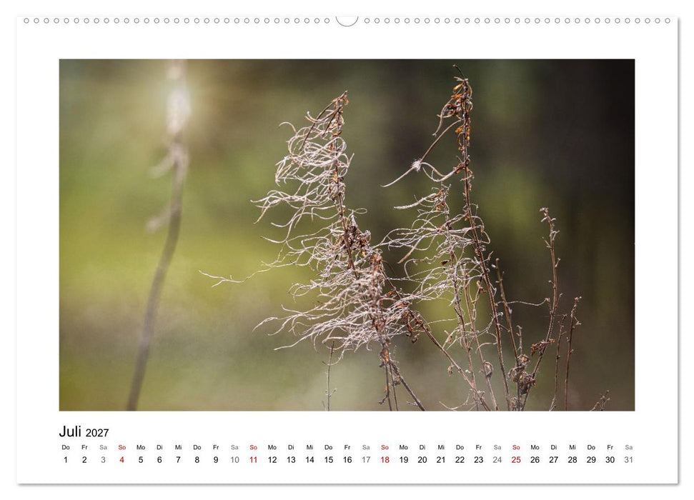 Zauber vergänglicher Blüten (CALVENDO Premium Wandkalender 2027)
