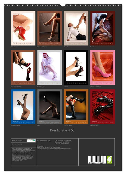 Dein Schuh und Du (CALVENDO Premium Wandkalender 2027)