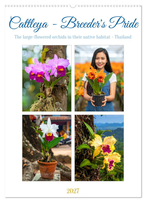 Cattleya - Breeder's Pride (CALVENDO Monthly Calendar 2027)