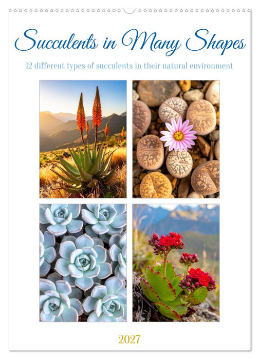 Succulents in Many Shapes (CALVENDO Monthly Calendar 2027)