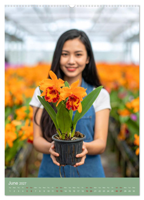 Cattleya - Breeder's Pride (CALVENDO Premium-Calendar 2027)