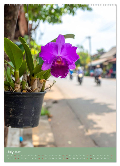 Cattleya - Breeder's Pride (CALVENDO Premium-Calendar 2027)
