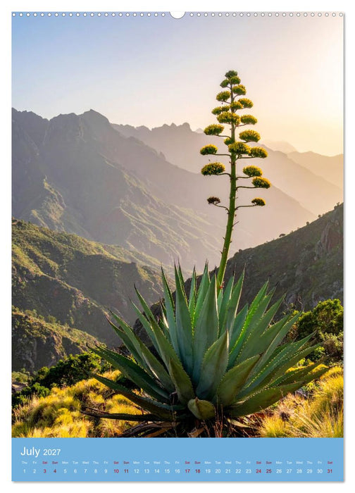 Succulents in Many Shapes (CALVENDO Premium-Calendar 2027)