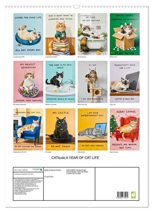CATitude A YEAR OF CAT LIFE (CALVENDO Monthly Calendar 2027)