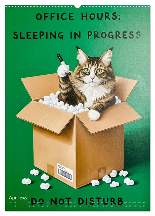 CATitude A YEAR OF CAT LIFE (CALVENDO Monthly Calendar 2027)