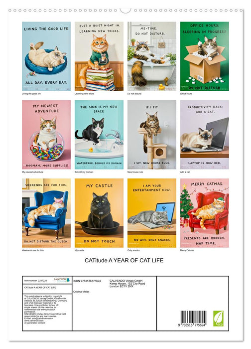 CATitude A YEAR OF CAT LIFE (CALVENDO Premium-Calendar 2027)