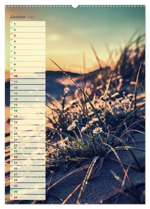 Dünen und Buhnen (CALVENDO Premium Wandkalender 2027)