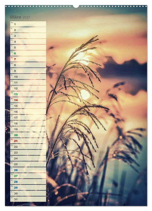 Dünen und Buhnen (CALVENDO Premium Wandkalender 2027)