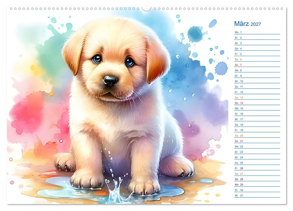 Süße Tierbabys - niedliche Illustrationen (CALVENDO Premium Wandkalender 2027)