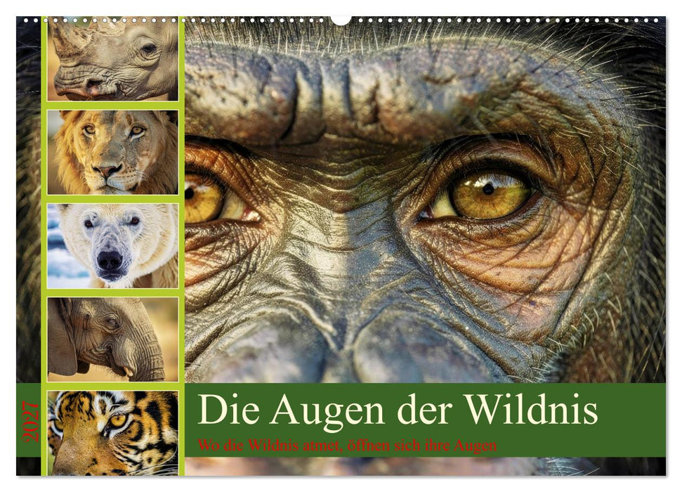 Die Augen der Wildnis (CALVENDO Wandkalender 2027)