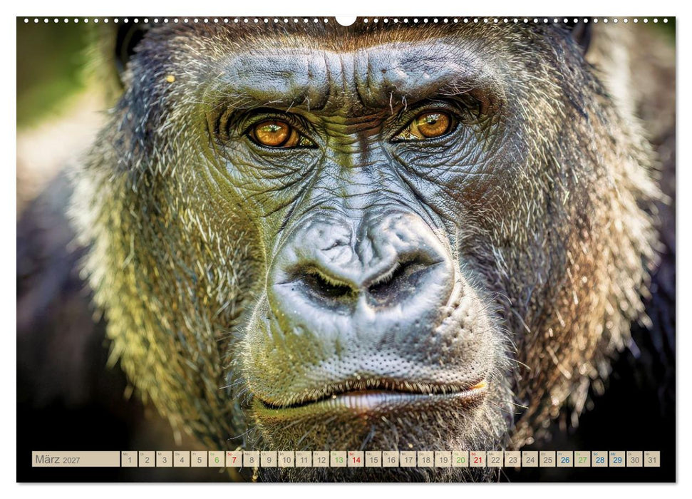 Die Augen der Wildnis (CALVENDO Wandkalender 2027)