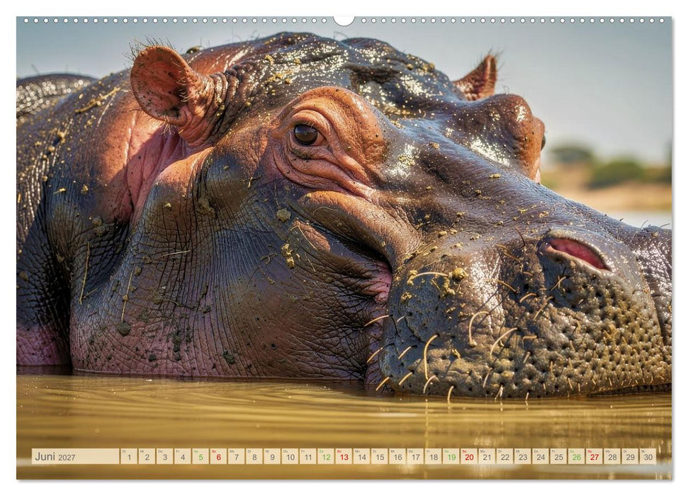Die Augen der Wildnis (CALVENDO Wandkalender 2027)