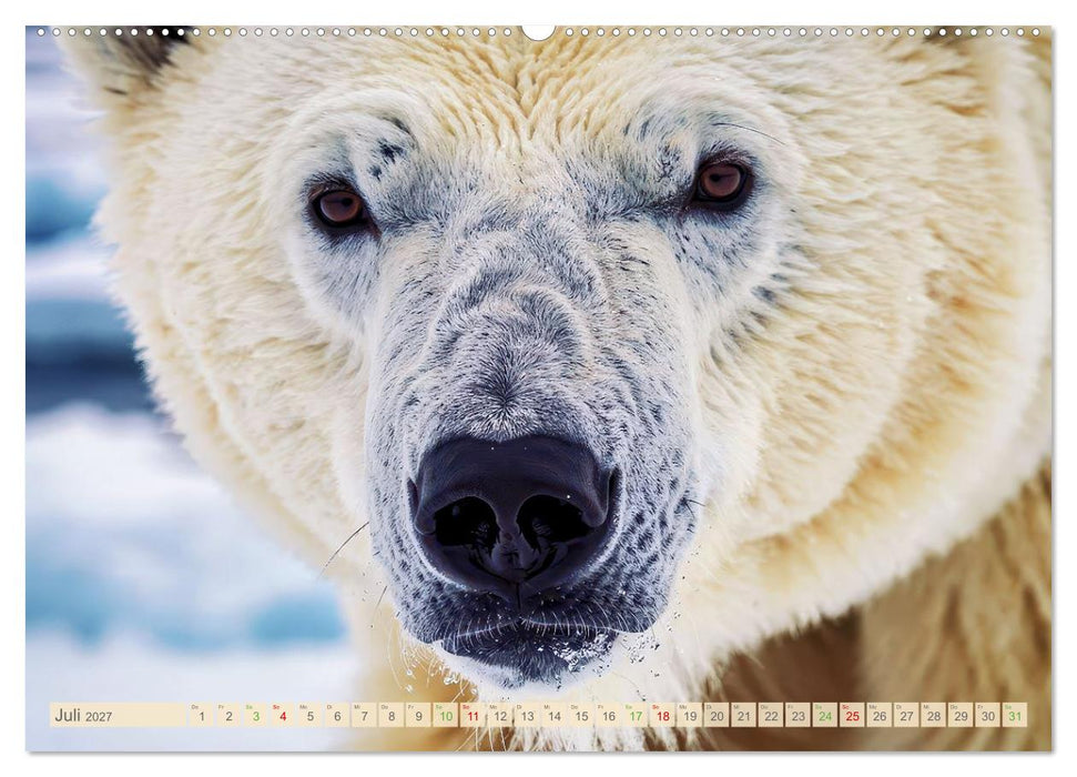 Die Augen der Wildnis (CALVENDO Premium Wandkalender 2027)