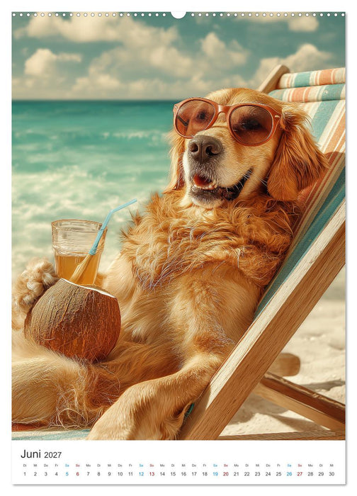 Tiere und Spaß (CALVENDO Premium Wandkalender 2027)