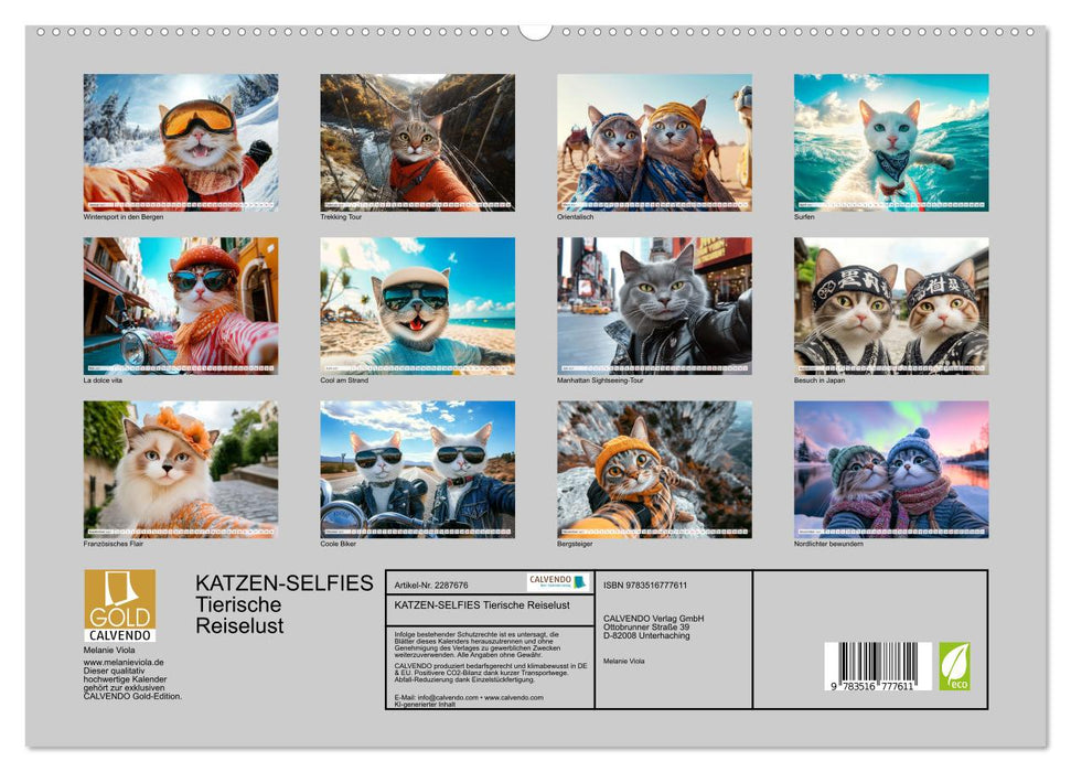 KATZEN-SELFIES Tierische Reiselust (CALVENDO Premium Wandkalender 2027)