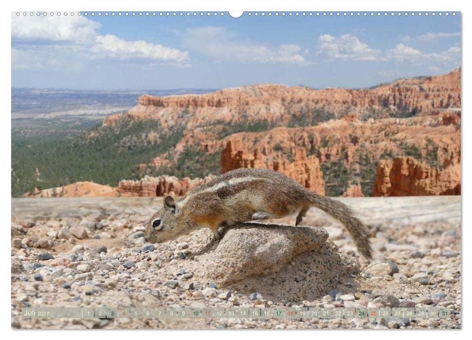 Discover the West (CALVENDO Premium Wandkalender 2027)