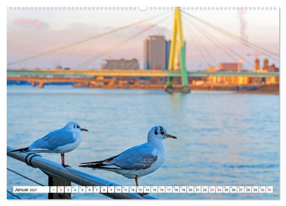Köln - Facetten einer Stadt (CALVENDO Premium Wandkalender 2027)