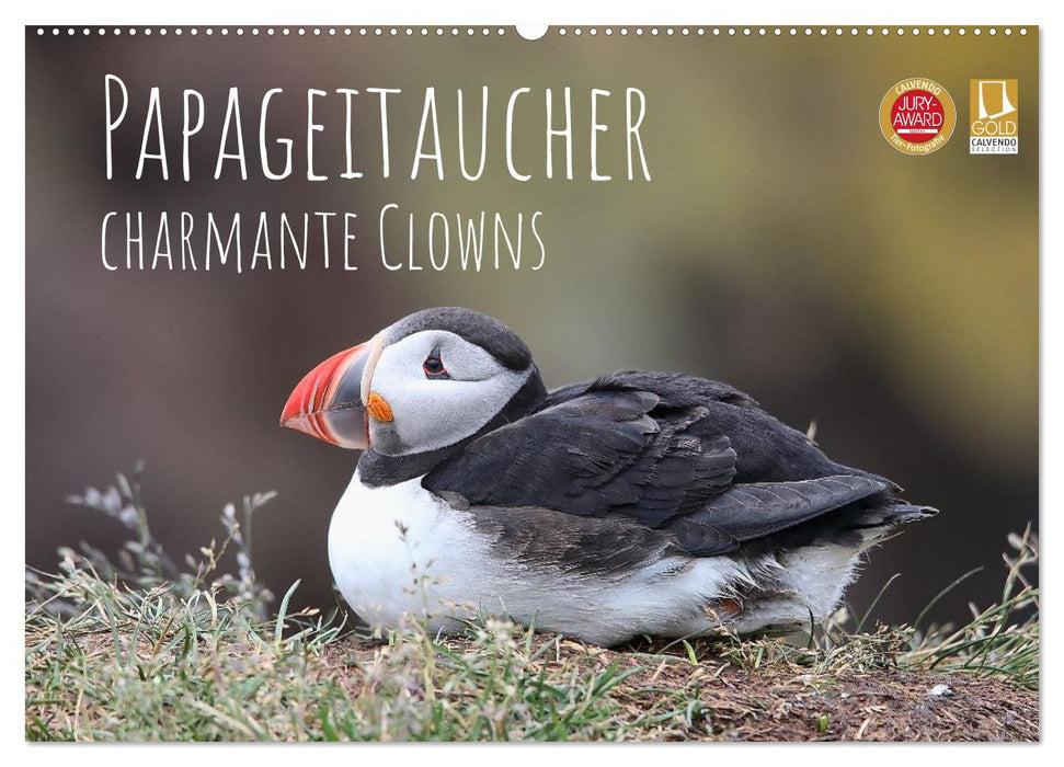 Papageitaucher - charmante Clowns (CALVENDO Wandkalender 2027)