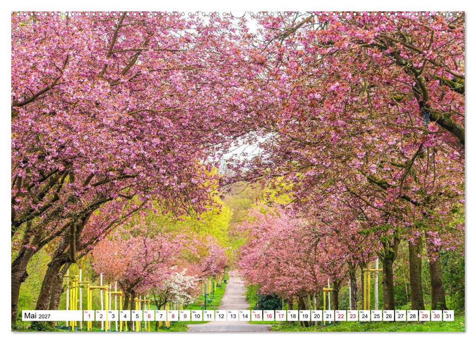 Köln - Facetten einer Stadt (CALVENDO Wandkalender 2027)