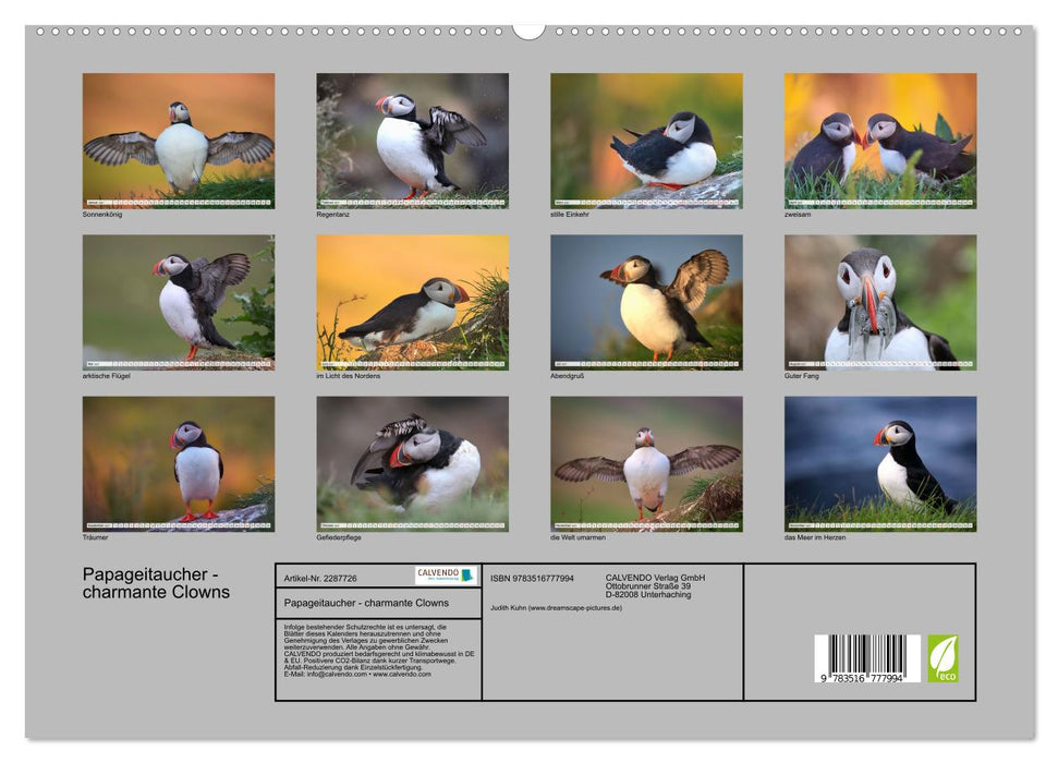 Papageitaucher - charmante Clowns (CALVENDO Premium Wandkalender 2027)