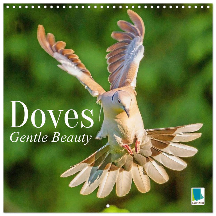 Doves: Gentle Beauty (CALVENDO Monthly Calendar 2027)