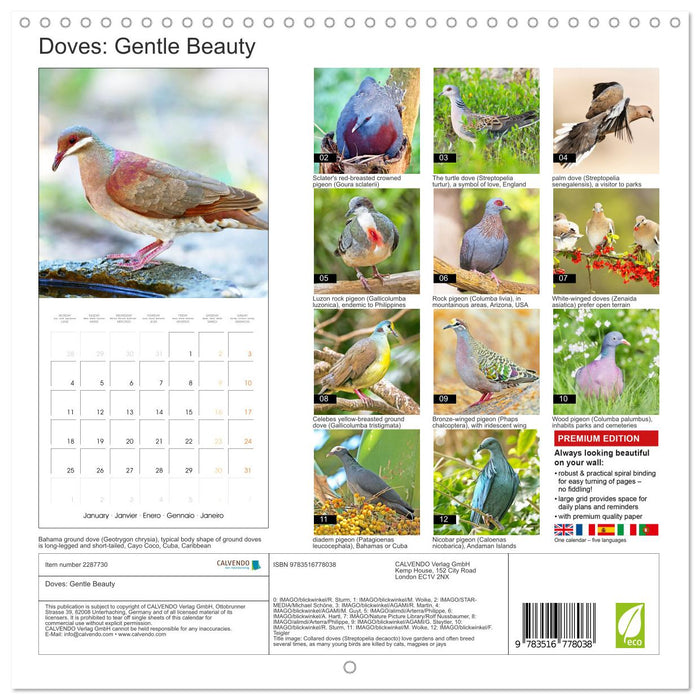 Doves: Gentle Beauty (CALVENDO Monthly Calendar 2027)