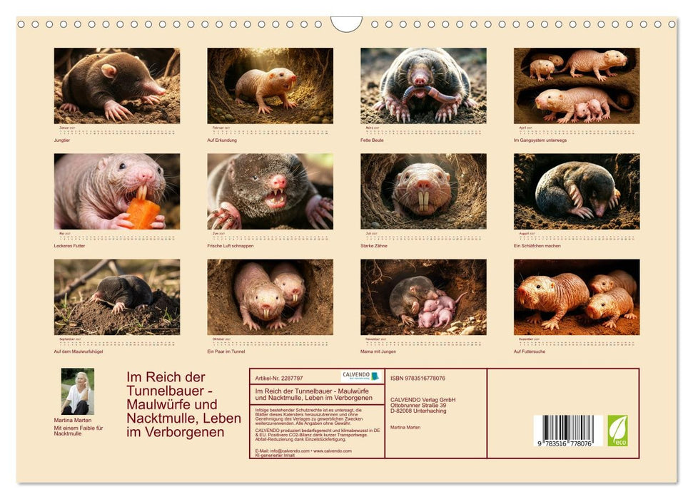 Im Reich der Tunnelbauer - Maulwürfe und Nacktmulle, Leben im Verborgenen (CALVENDO Wandkalender 2027)