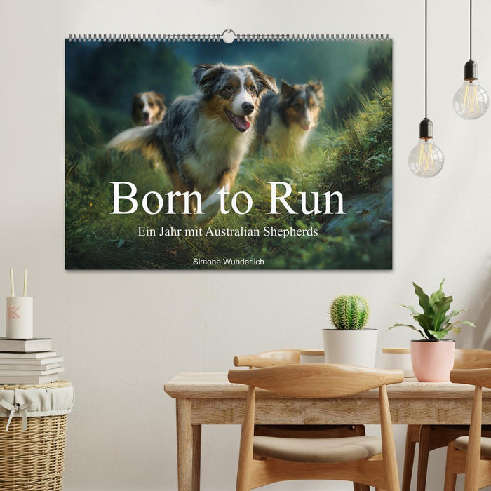 Born to run - Ein Jahr mit Australian Shepherds (CALVENDO Wandkalender 2027)
