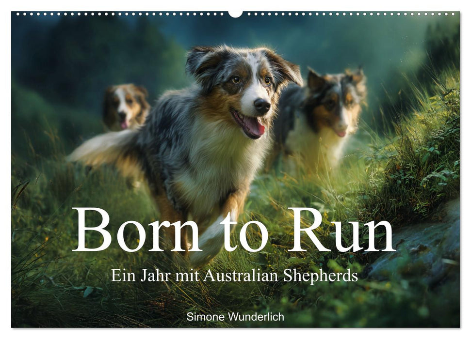 Born to run - Ein Jahr mit Australian Shepherds (CALVENDO Wandkalender 2027)