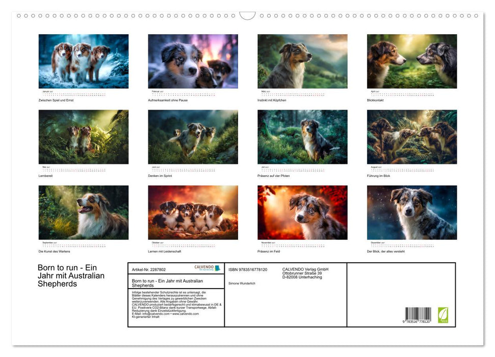 Born to run - Ein Jahr mit Australian Shepherds (CALVENDO Wandkalender 2027)