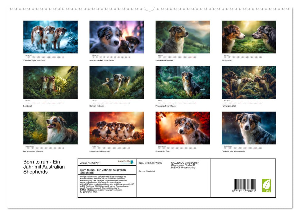 Born to run - Ein Jahr mit Australian Shepherds (CALVENDO Premium Wandkalender 2027)