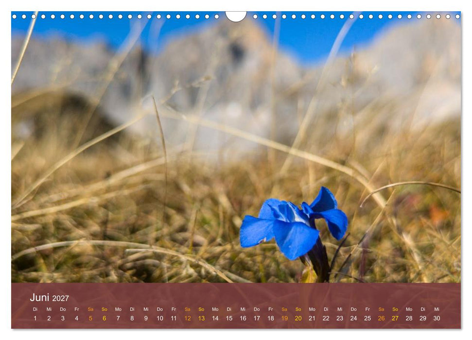 Leutasch - schöne Bergwelt (CALVENDO Wandkalender 2027)